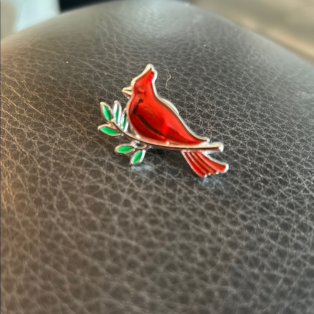 Elegant Red Bird Pin